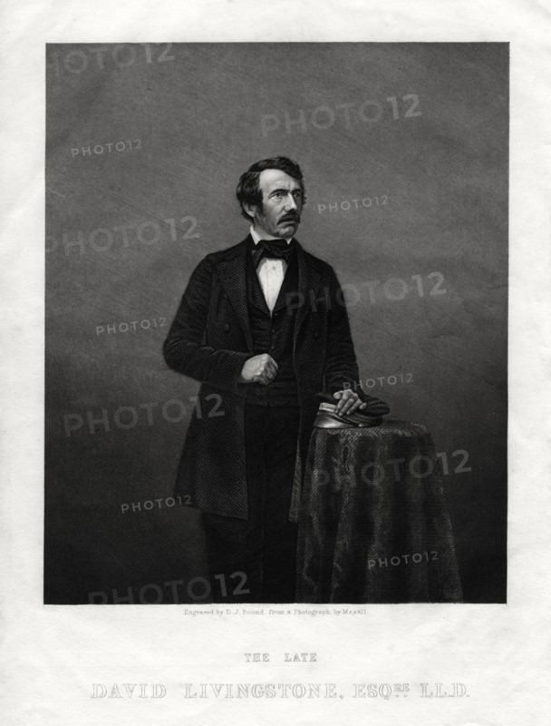 David Livingstone, Scottish missionary and African explorer, 1880. Artist: DJ Pound