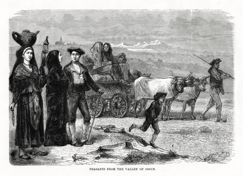 Peasants from the valley of Ossun, France, 1879. Artist: Unknown