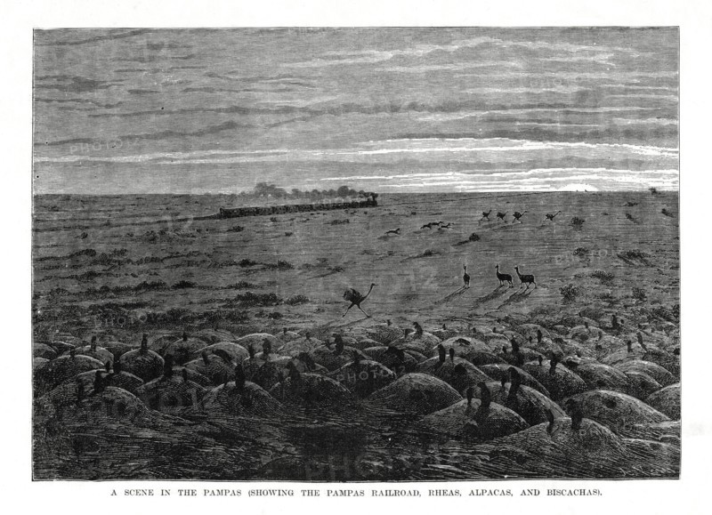 The Pampas railroad, South American lowlands, 1877. Artist: Unknown
