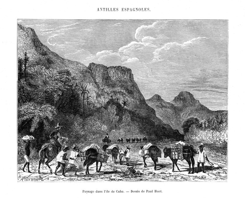 Landscape in the island of Cuba, 19th century. Artist: Paul Huet
