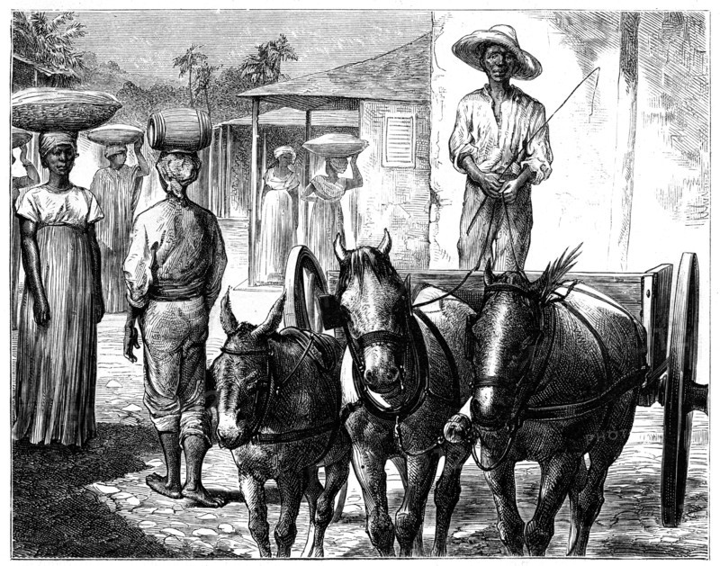 Street scene, Haiti, 19th century. Artist: T Wust