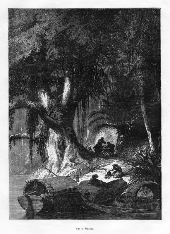 Madeira River, South America, 19th century. Artist: Unknown