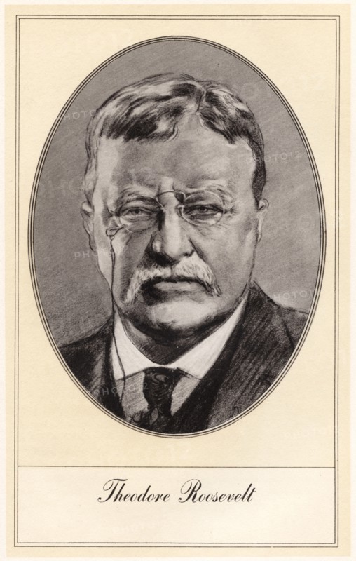 Theodore Roosevelt, 26th President of the United States, (early 20th century).Artist: Gordon Ross