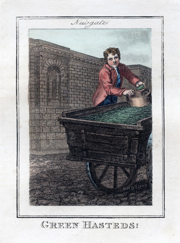 'Green Hasteds', Newgate, London, 1805. Artist: Unknown