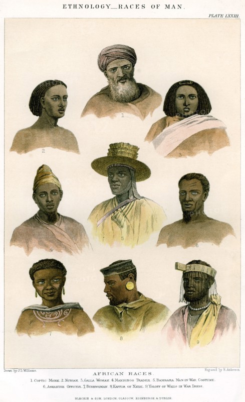 'Ethnology, Races of Man', 1800-1900.Artist: R Anderson