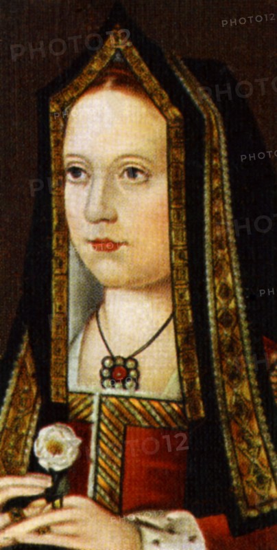 Elizabeth of York. Artist: Unknown