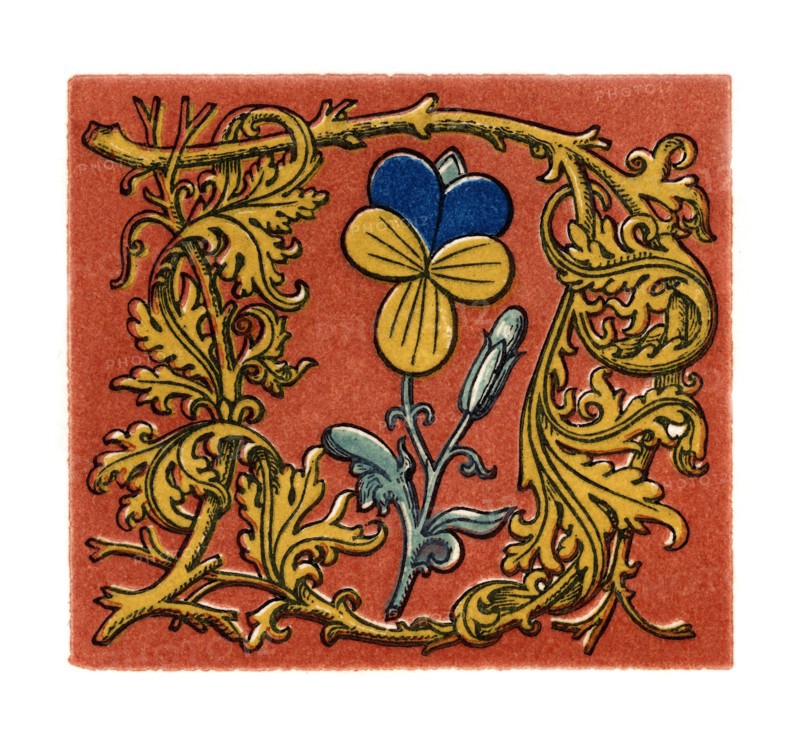 Initial letter 'D', second half of the fifteenth century, (1843).Artist: Henry Shaw