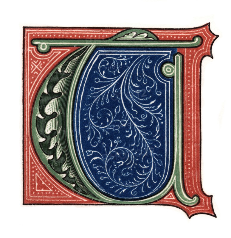 Initial letter 'T', (1843).Artist: Henry Shaw