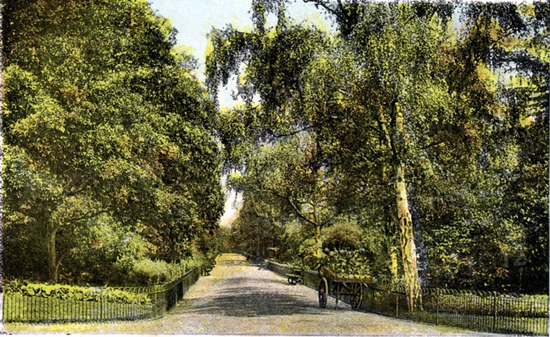 The Flower Walk, Kensington Gardens, London, 20th Century. Artist: Unknown