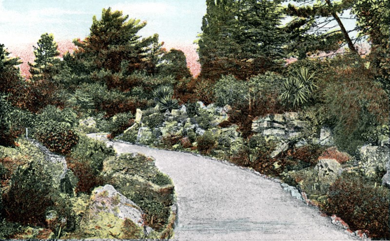 The Rockery, Kew Gardens, Richmond upon Thames, London, 20th Century. Artist: Unknown