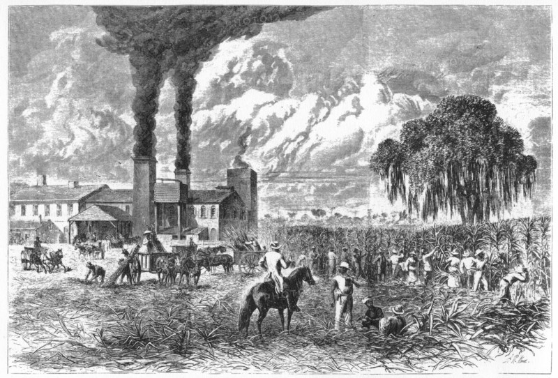 Sugar Plantation, New Orleans, 1870.Artist: A R Ward