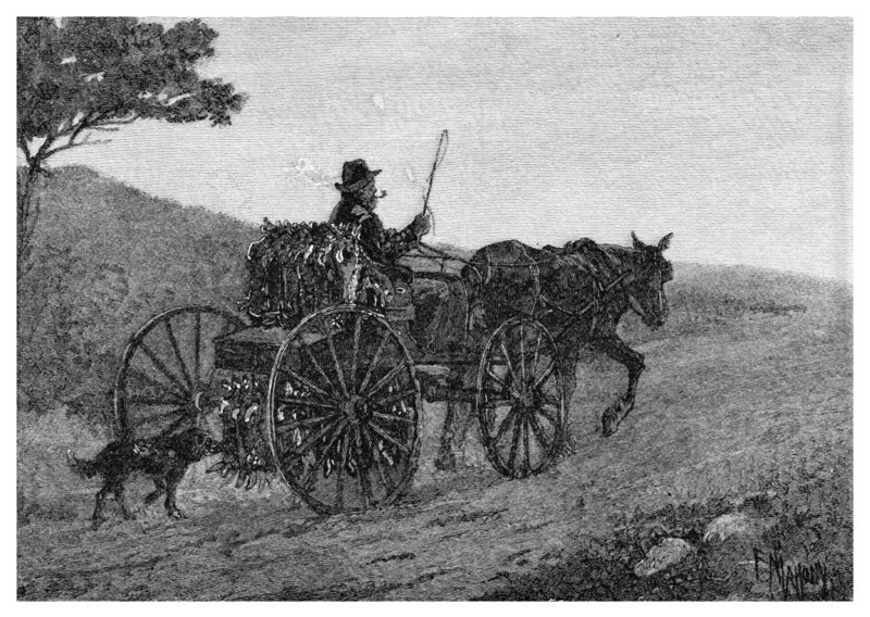 A Colac Rabbit Trapper, 1886.Artist: Frederic B Schell