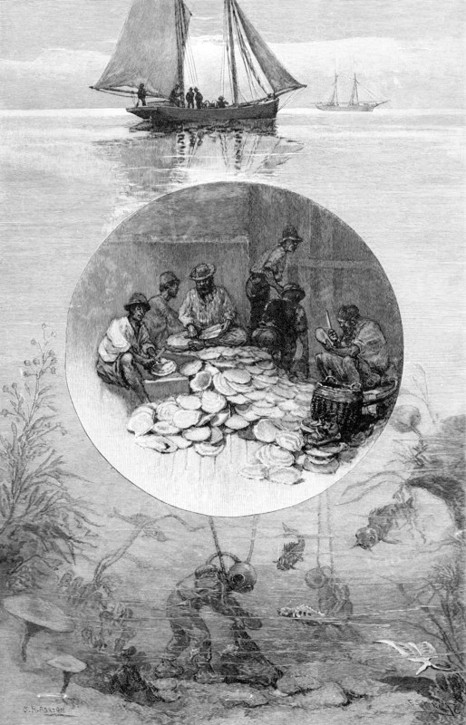 Pearl Fishery, Torres Strait, Australia, 1886. Artist: Unknown