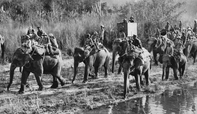 The Prince of Wales tiger shooting in India, 1921. Artist: Unknown