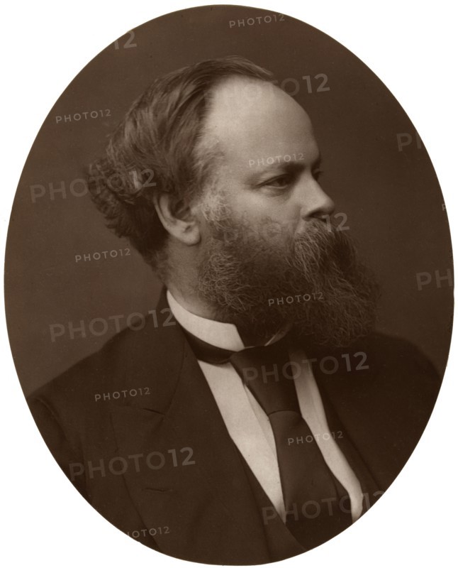 Samuel Plimsoll, Esq, MP, British Liberal politician and social reformer, 1876.Artist: Lock & Whitfield