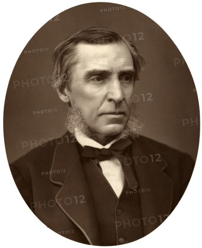 James Anthony Froude, British historian, 1876.Artist: Lock & Whitfield