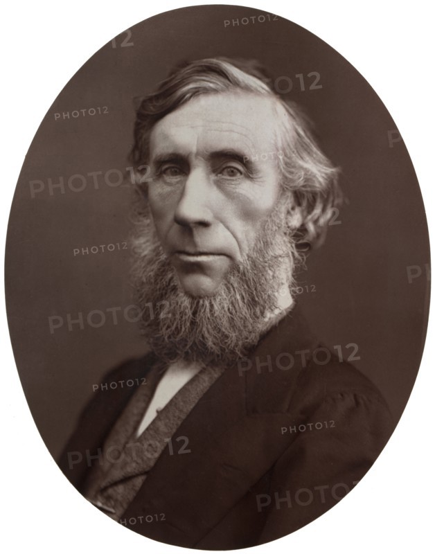 John Tyndall, DCL, LLD, FRS, Professor of Natural Philosophy at the Royal Institution, 1877.Artist: Lock & Whitfield