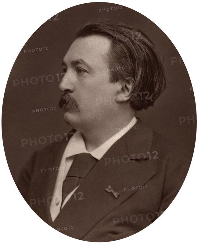Paul Gustave Dore, French artist, engraver and illustrator, 1877.Artist: Lock & Whitfield