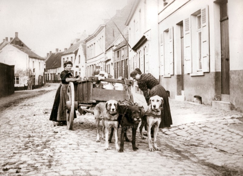Women and dogcart, Antwerp, 1898. Artist: James Batkin