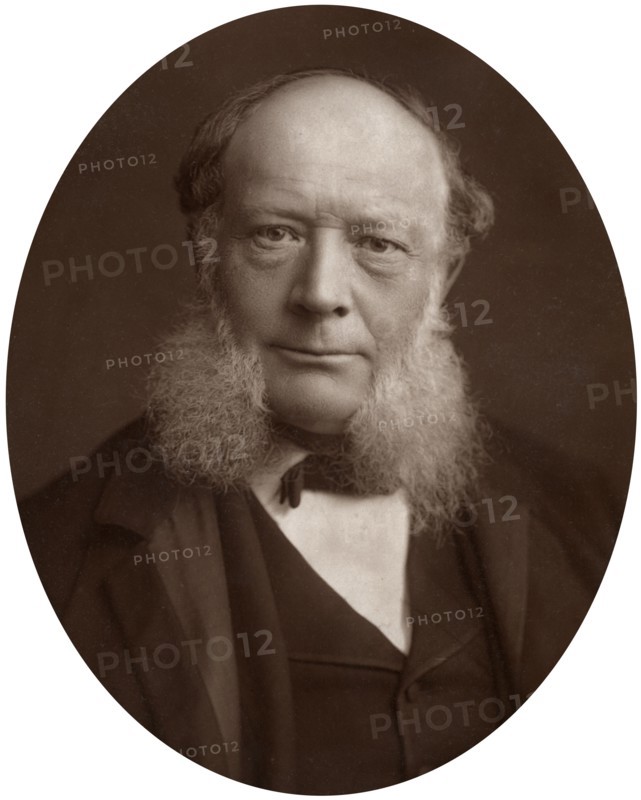 Charles William Siemens, DCL, FRS, German electrical engineer and inventor, 1883.Artist: Lock & Whitfield
