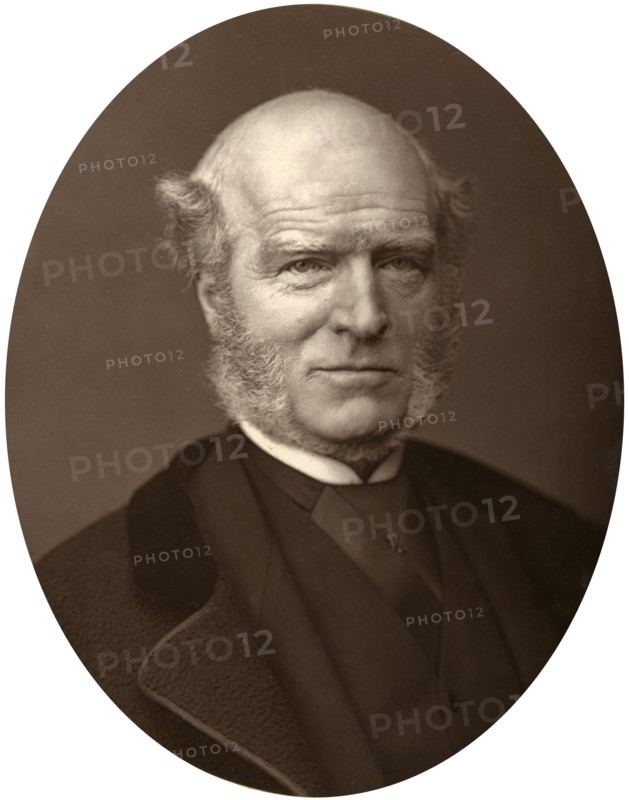 Thomas Hughes, 1880.Artist: Lock & Whitfield