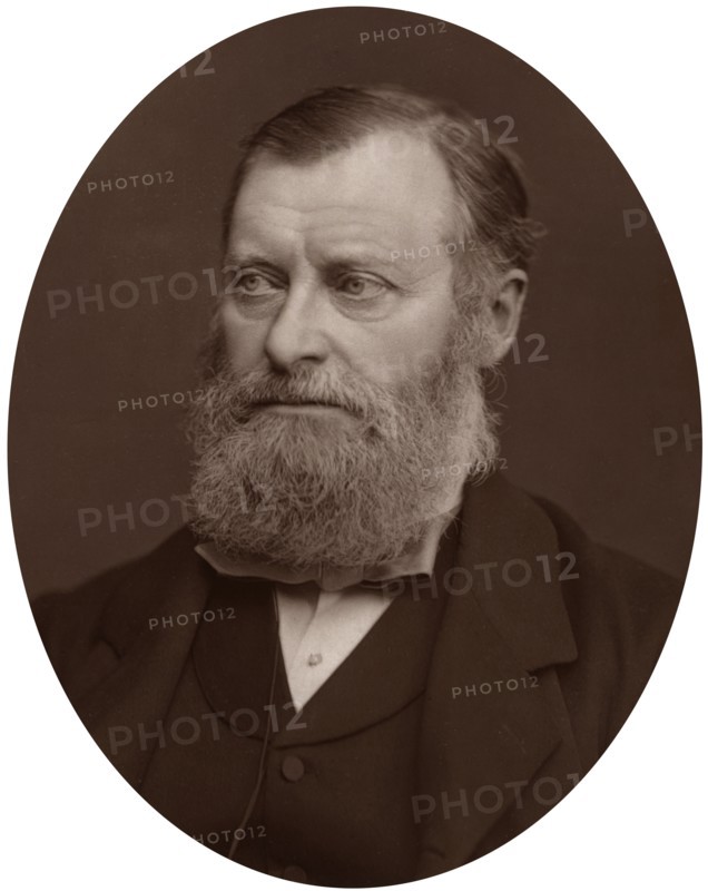 William Edward Forster MP, 1878.Artist: Lock & Whitfield