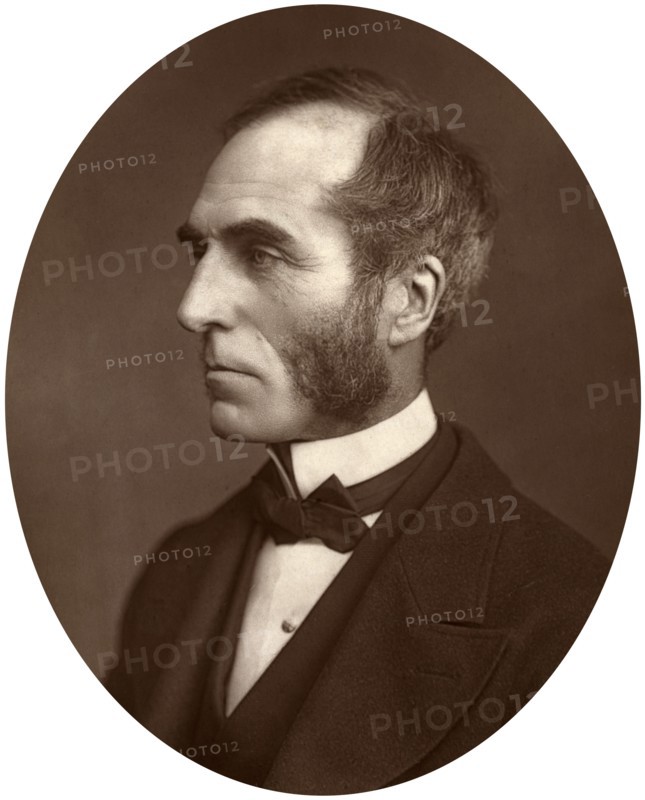 Goldwin Smith, Professor, 1878. Artist: Lock & Whitfield
