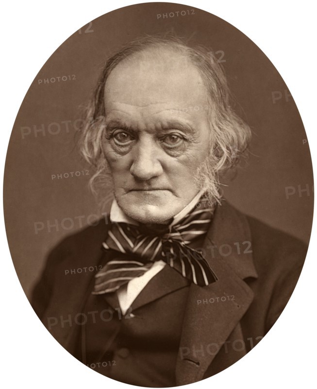 Richard Owen, 1878.Artist: Lock & Whitfield