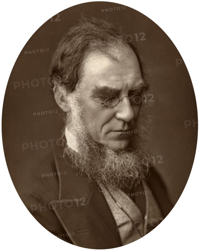 Sir Joseph Dalton Hooker, Director of Royal Gardens at Kew, 1881. Artist: Unknown