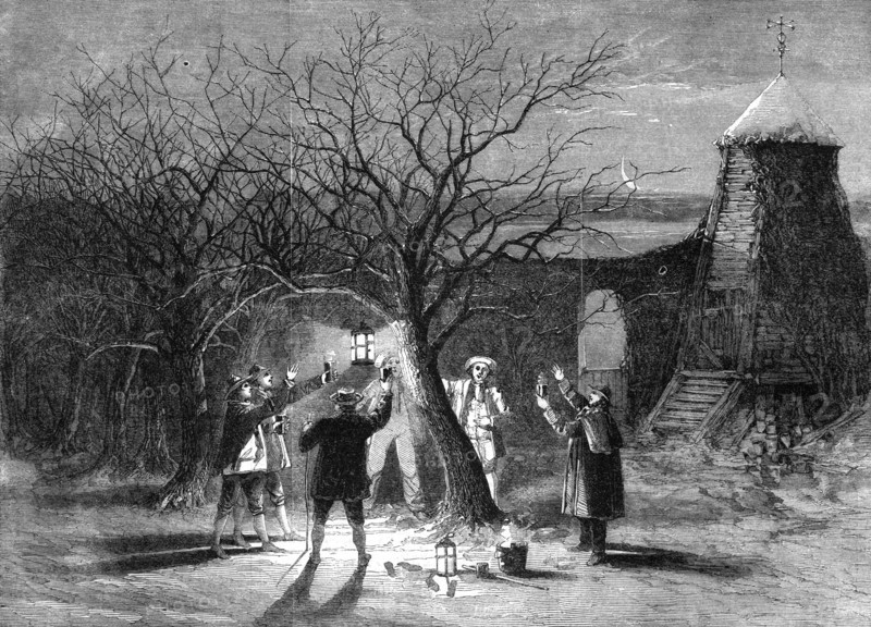 Wassailing apple trees with hot cider in Devonshire on twelfth eve, 1861. Artist: Unknown