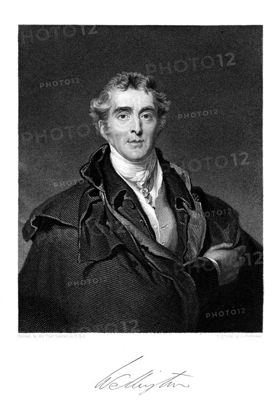 Duke of Wellington, (1769-1852), 19th Century.Artist: Duke of Wellington