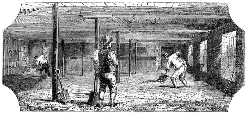 Steeping, couching and flooring malt, 1886. Artist: Unknown