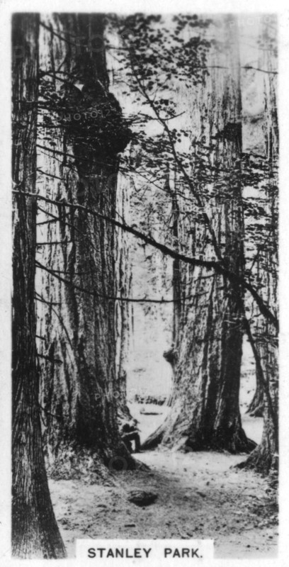 Stanley Park, Vancouver, Canada, c1920s. Artist: Unknown