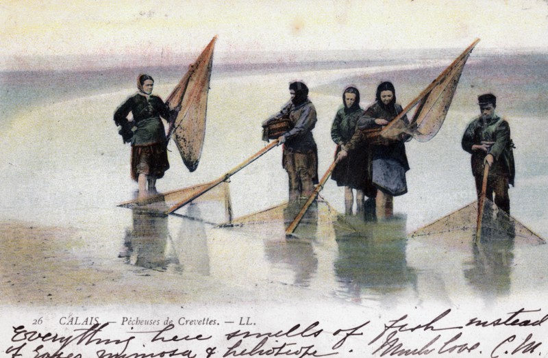 Women shrimp fishers, Calais, 1905. Artist: Unknown