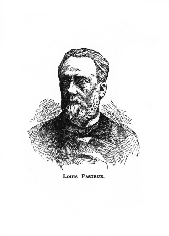Louis Pasteur, 19th century French microbiologist and chemist, (20th century). Artist: Unknown