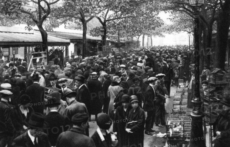 General view of the bird market, Paris, 1931.Artist: Ernest Flammarion