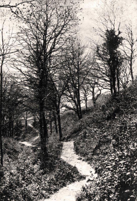 Lovers Lane, Fairlight, Hastings, Sussex. Artist: Unknown