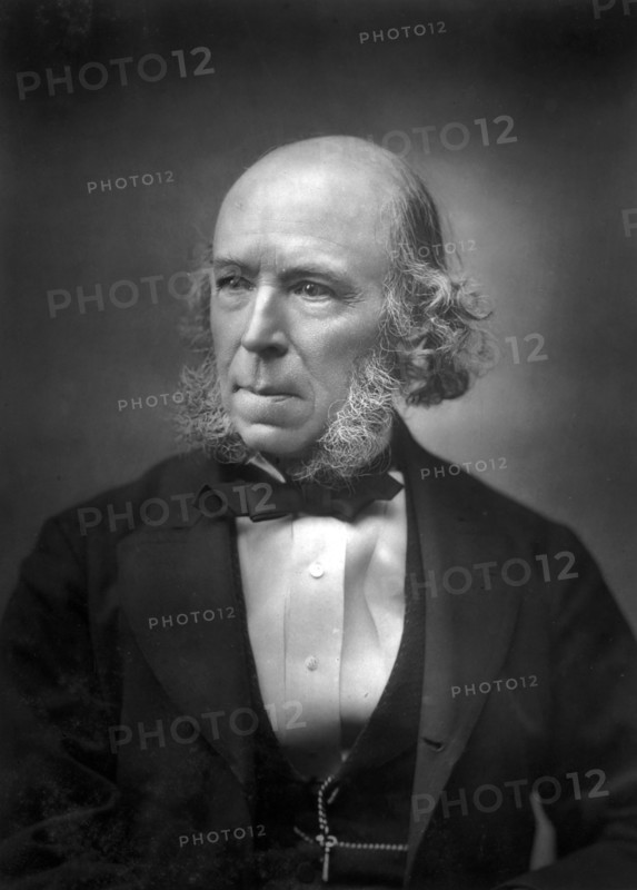 Herbert Spencer (1820-1903), late 19th century. Artist: Unknown