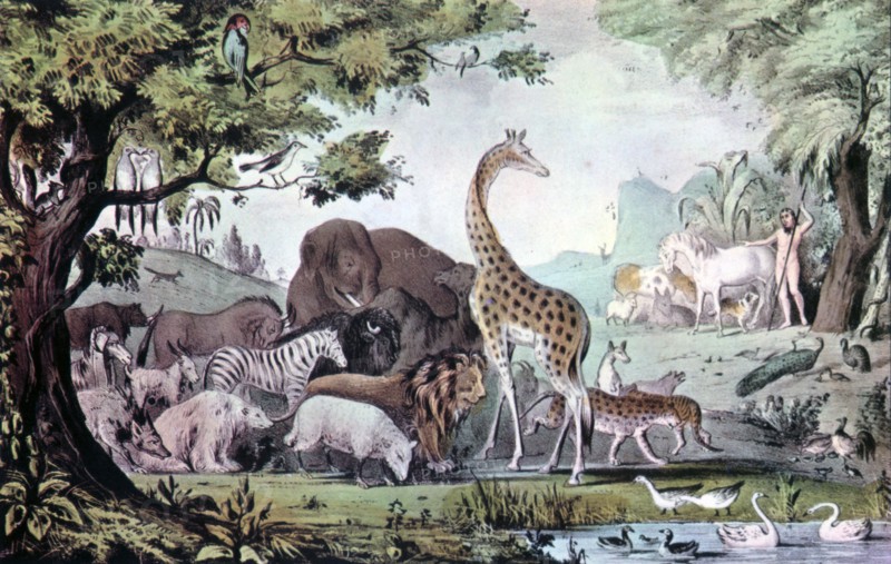 'Adam Naming the Creatures', 1847. Creator: Nathaniel Currier.