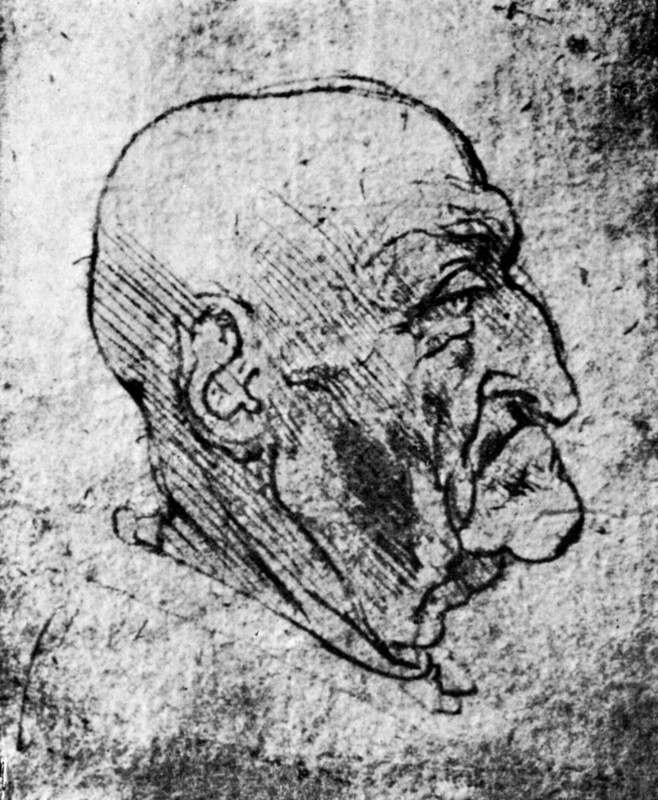 'Head of an Old Man', 1913. Artist: Leonardo da Vinci