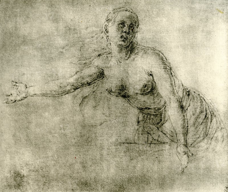 A study, 1913. Artist: Albrecht Dürer