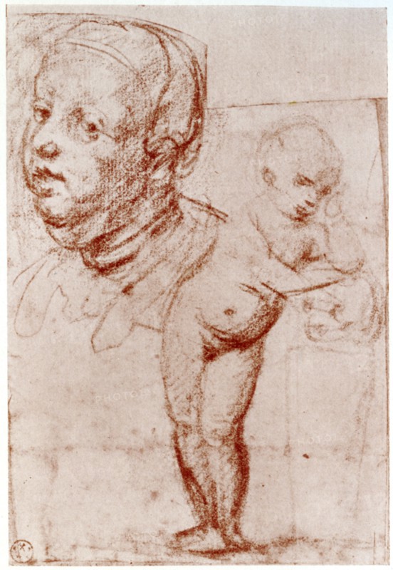 Studies, 1913.Artist: Albrecht Dürer
