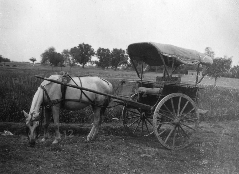 Tonga (horse cart), Muttra, India, 1917. Artist: Unknown