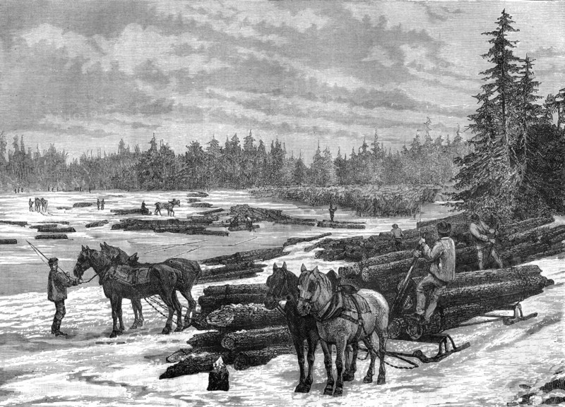 Canadian loggers, 19th century.Artist: Taylor