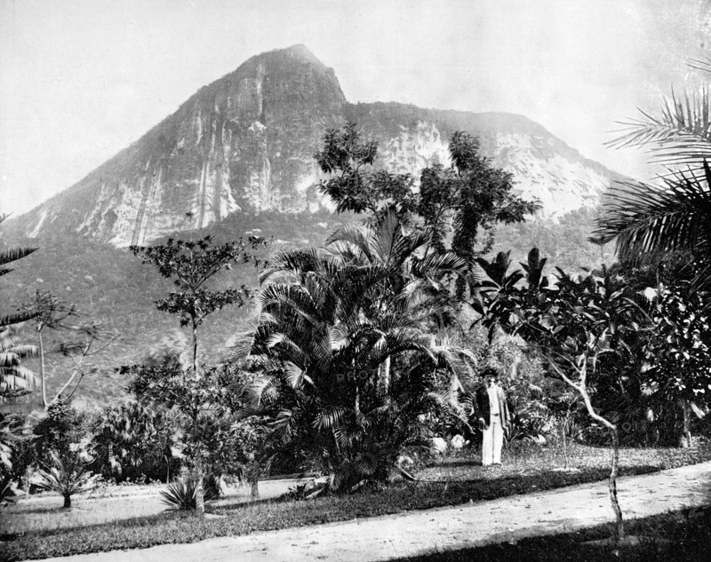 Botanical Gardens and Mount Corcovado, Rio De Janeiro, Brazil, 1893.Artist: John L Stoddard