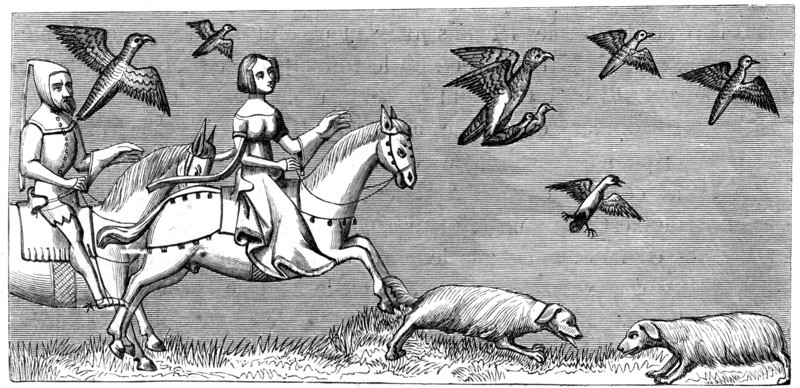 How to make young hawks fly, 14th century (1849). Artist: Unknown