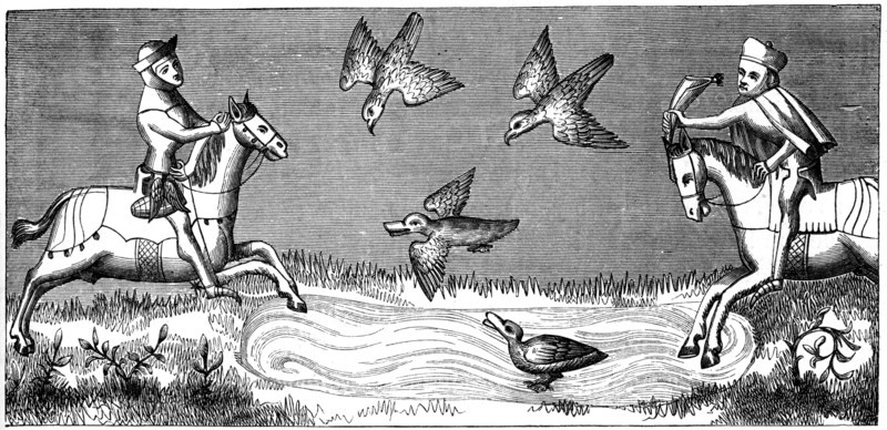 How to bathe a new falcon, 14th century (1849). Artist: Unknown