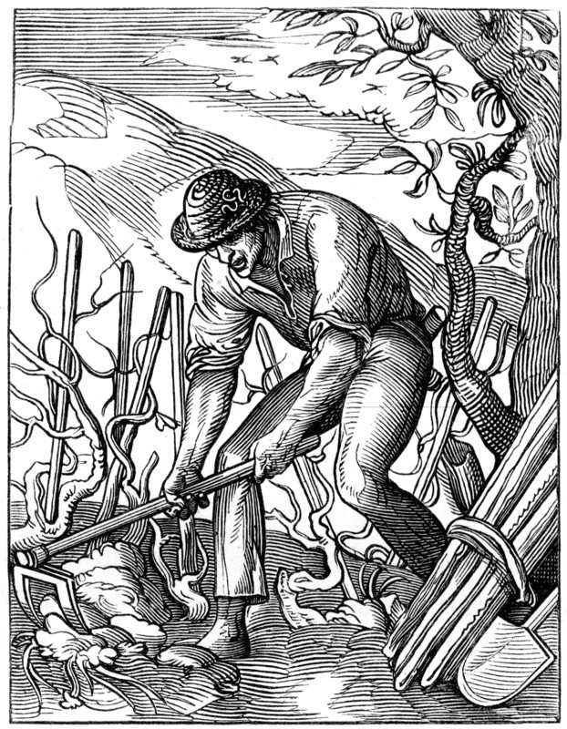 Winemaker, 16th century (1849).Artist: Jost Amman