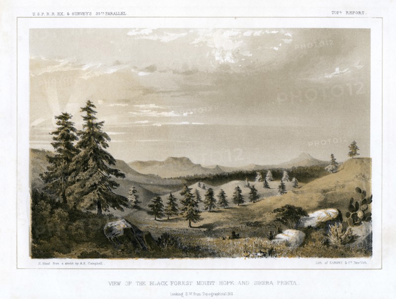 The Black Forest Mount Hope and Sierra Prieta, USA, 1856.Artist: E Stout