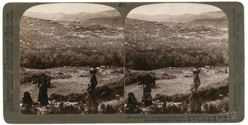 The Hill of Samaria, from the south, surrounded by its fig and olive groves, Palestine, 1900.Artist: Underwood & Underwood